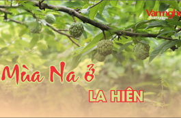 Mùa Na ở La Hiên