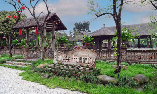 Tiến Yên Farmstay - Điểm hẹn của người yêu trà