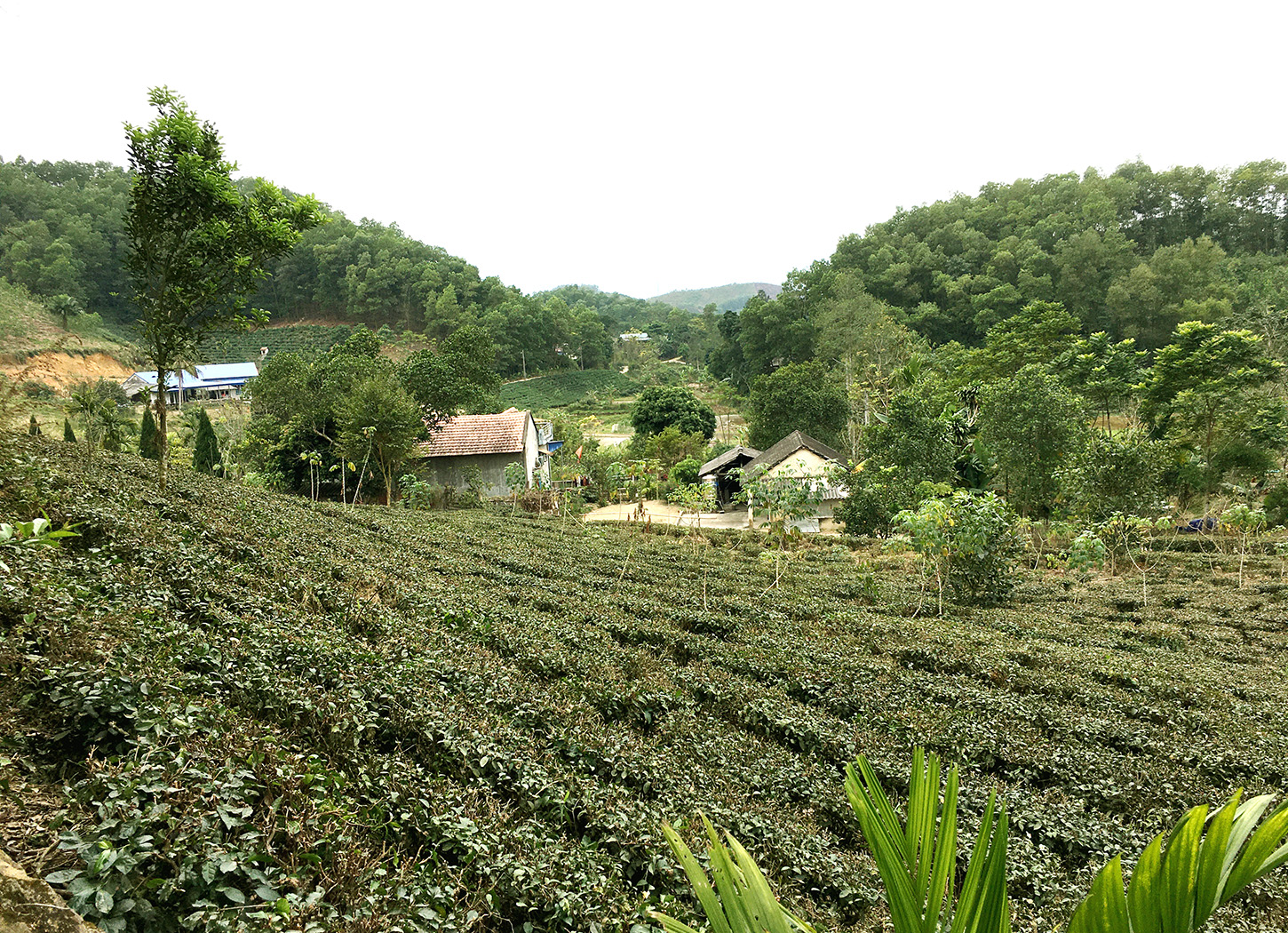 Từ đỉnh đồi nơi đặt ngôi Đền có thể quan sát được toàn bộ xóm làng theo mọi hướng