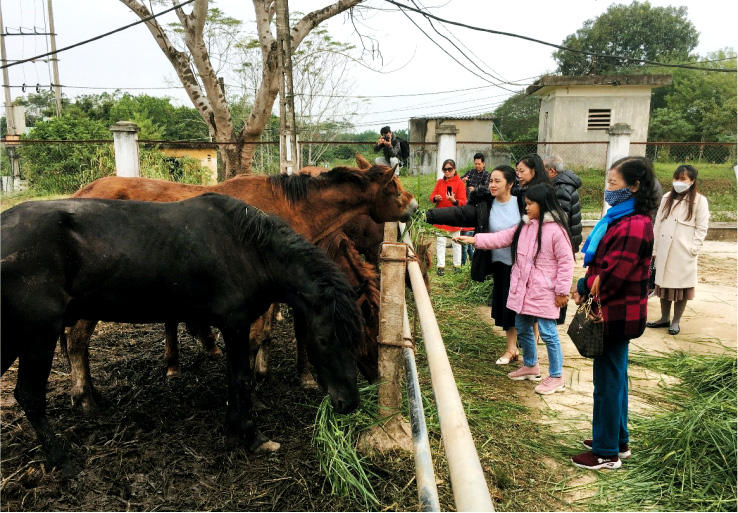 Ekip làm chuyên mục “Muôn nẻo đường quê” thực hiện video “Trại ngựa Bá Vân - Thảo nguyên Mông Cổ giữa lòng Thái Nguyên”
