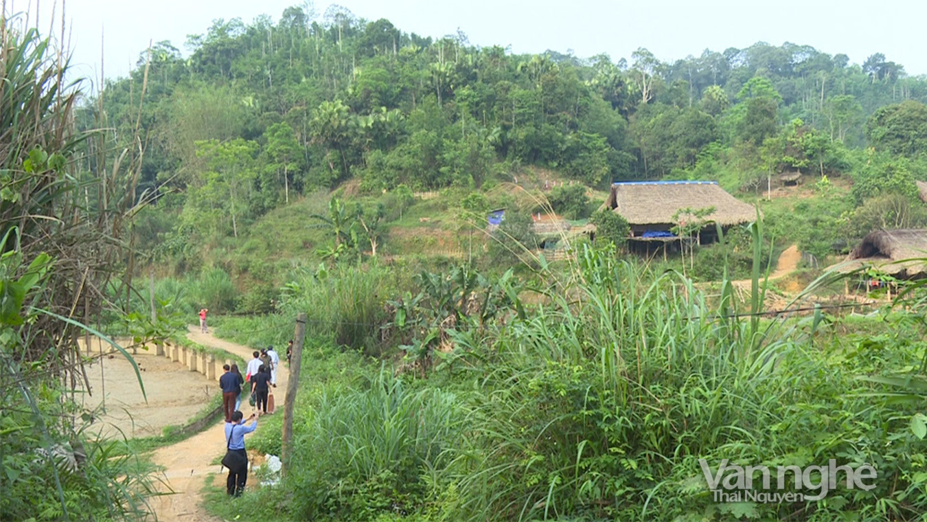 Cuốn sách 915 và những chuyện “giờ mới kể”