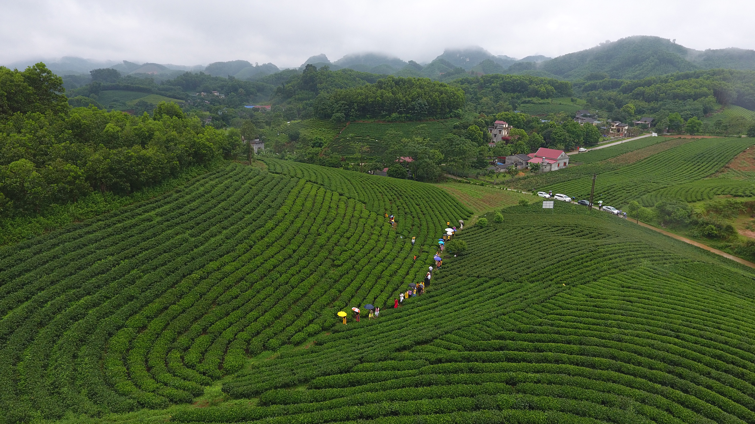 Để nông thôn văn minh, nông dân giàu có