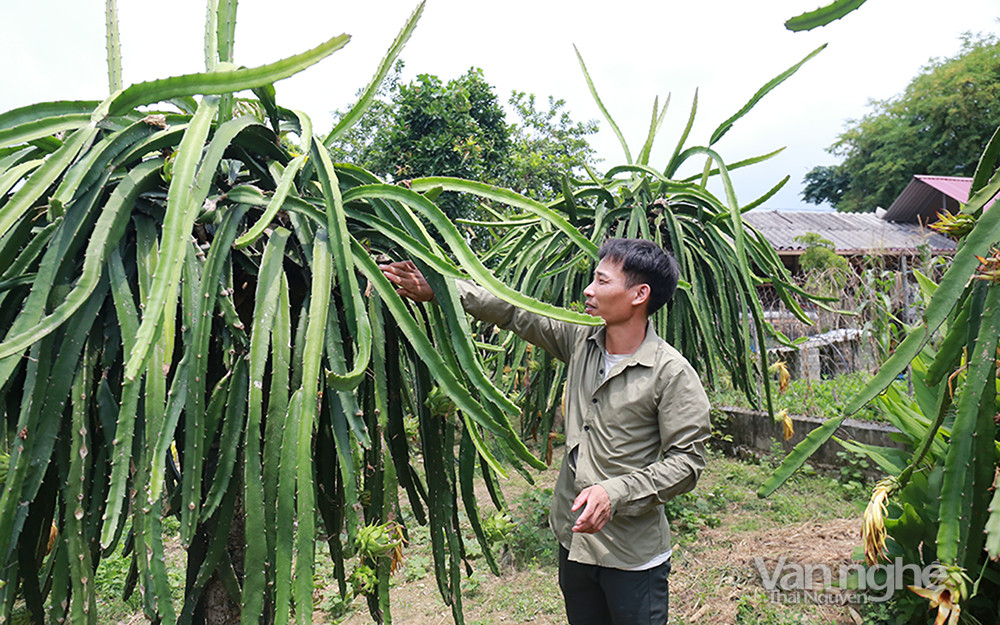 Nâng cao đời sống cho đồng bào dân tộc thiểu số