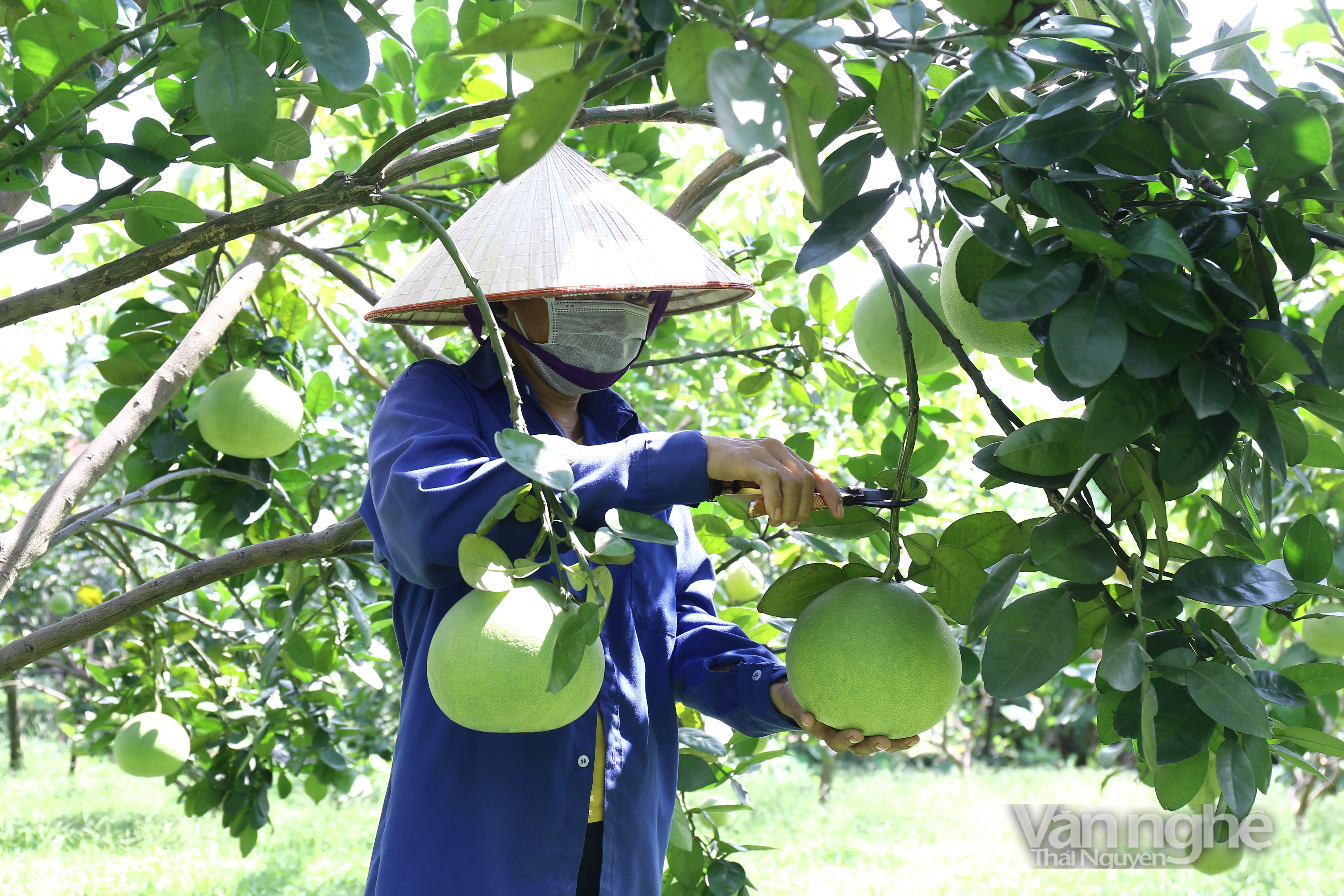 Nâng cao đời sống cho đồng bào dân tộc thiểu số