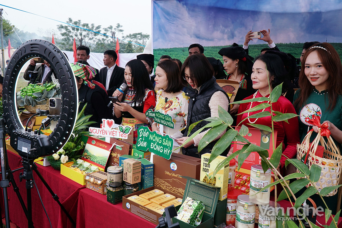 Ngày hội Văn hóa trà Đồng Hỷ