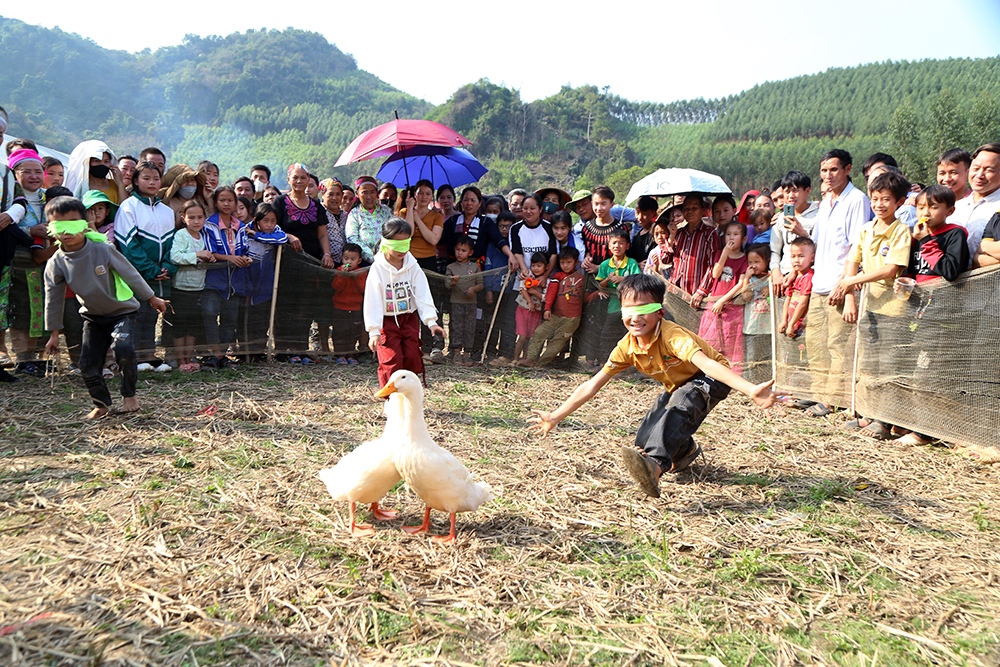 Đưa những nghệ sĩ lớn về những ô ruộng nhỏ