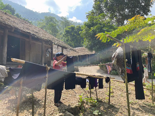 Bà con dân tộc Dao Tiền, xã Cao Sơn, Hoà Bình phơi vải sau khi nhuộm chàm