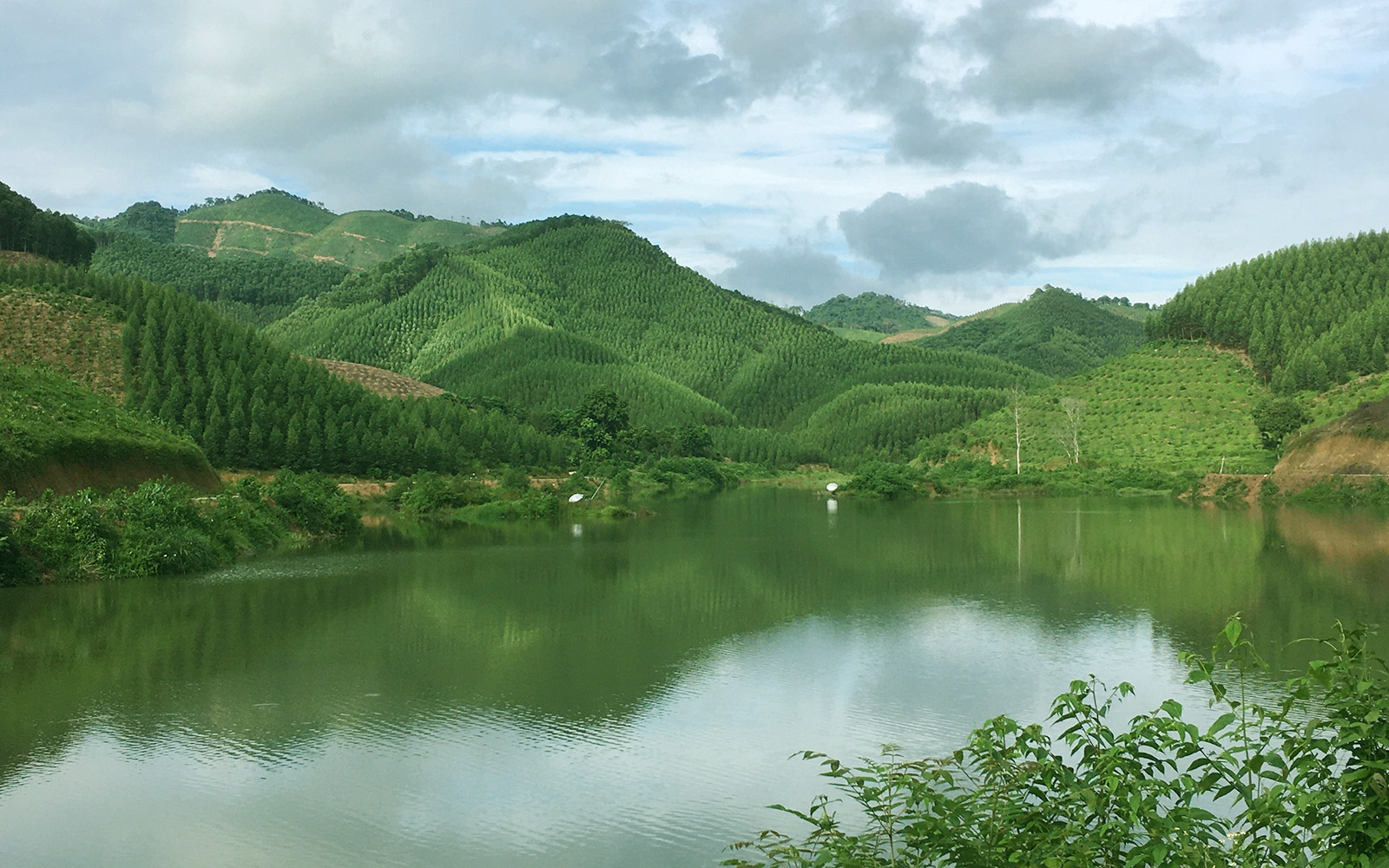 Suốt hơn một thế kỷ trôi qua, những kỉ niệm vẫn nằm lặng lẽ trong trái tim tôi... (hình chỉ mang tính minh họa). Ảnh: V.T