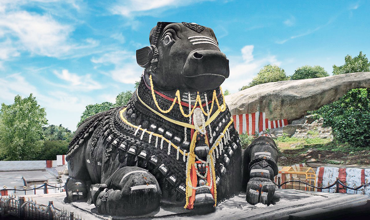 Tượng bò Nandi ở đền Sri Nandi, Mysore, Ấn Độ