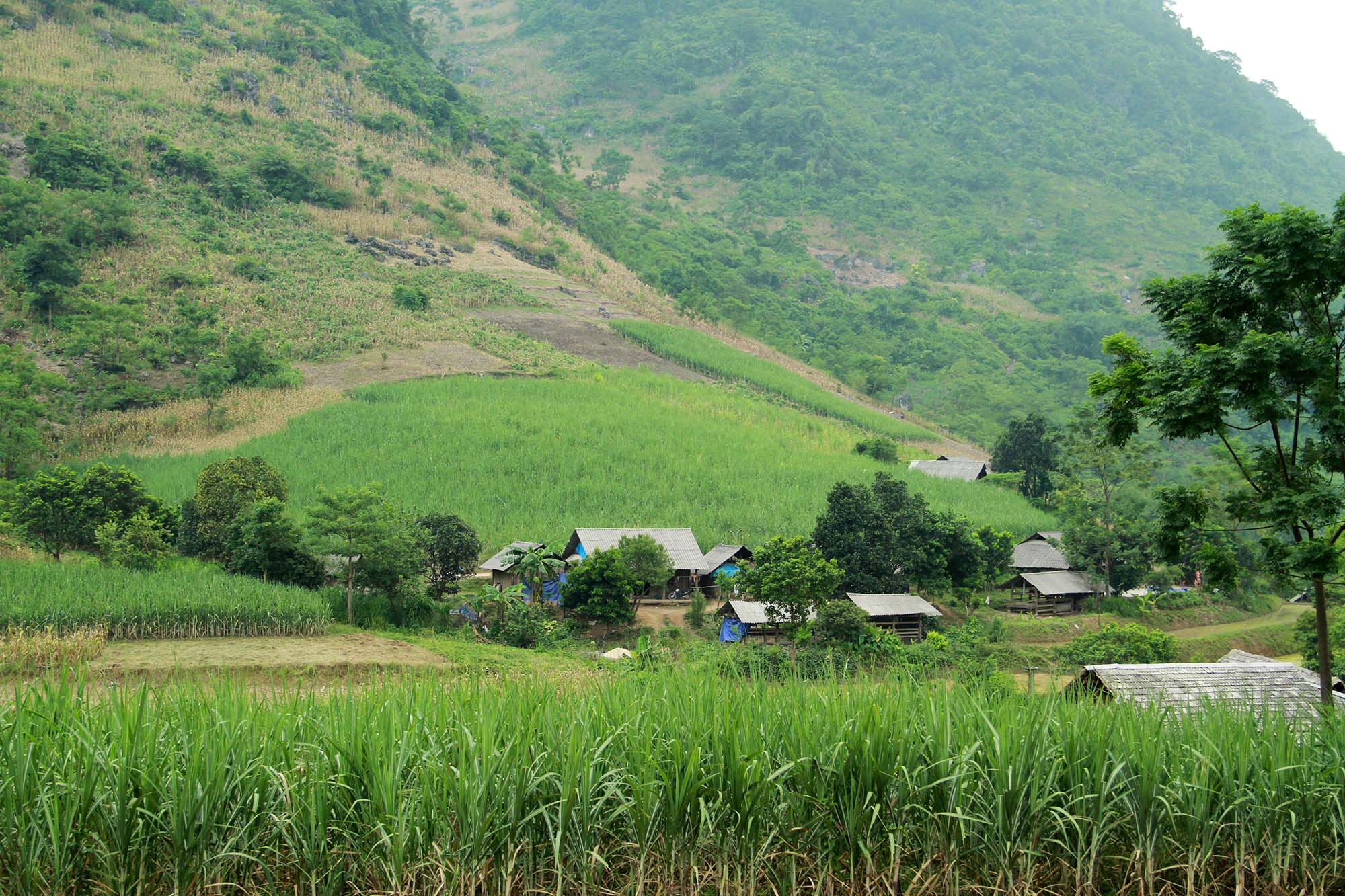 “Thắp sáng” vùng đồng bào dân tộc thiểu số và miền núi bằng Chương trình Mục tiêu quốc gia