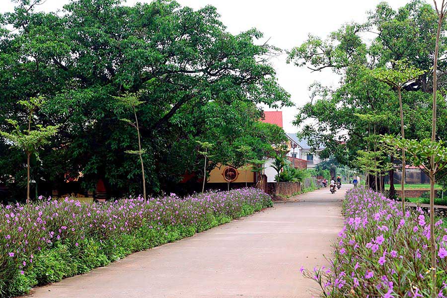 Những con đường hoa ở xã Hà Châu đẹp như một bức tranh