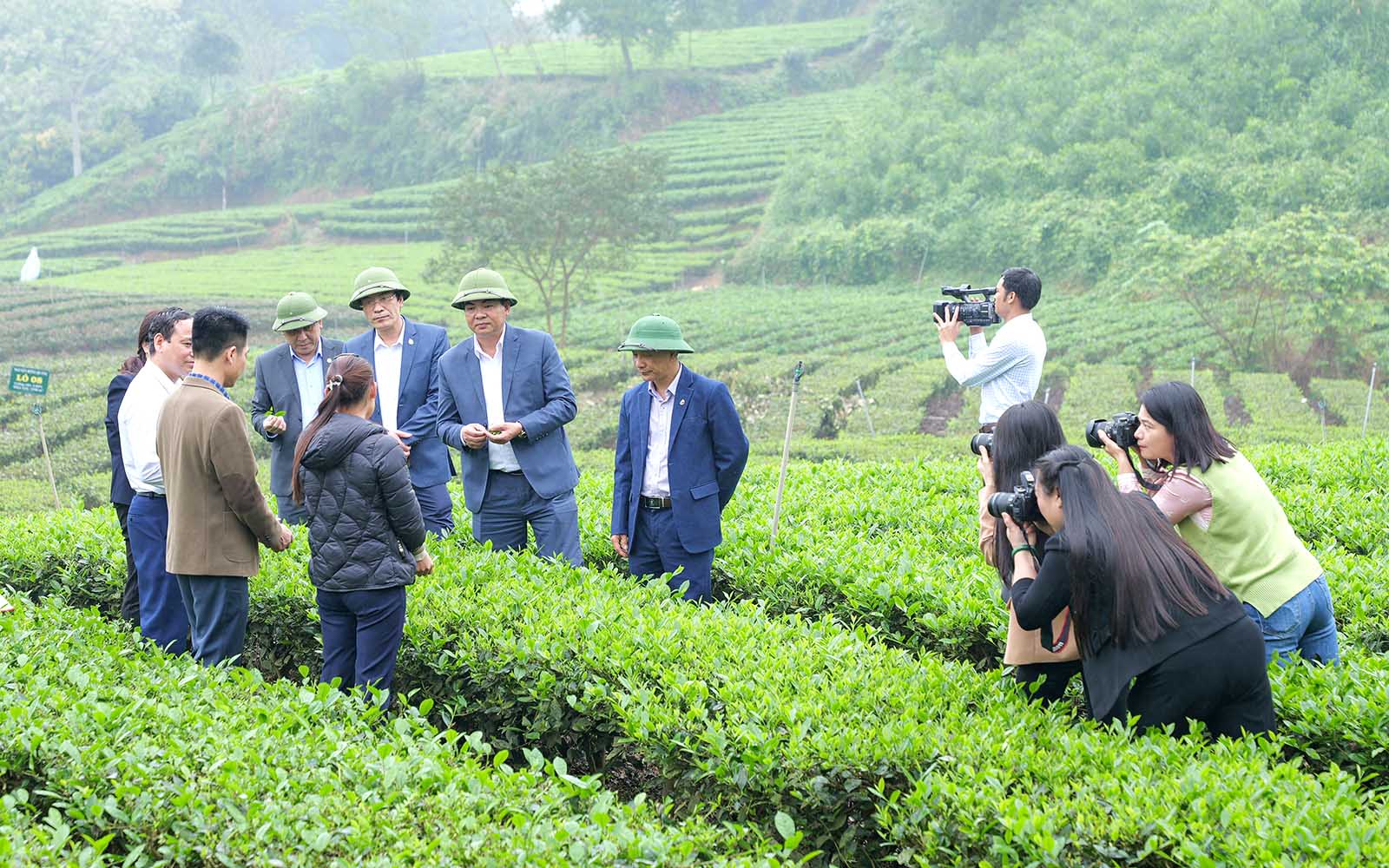 Đoàn đi thực tế do Hội Nhà báo tổ chức thăm và tác nghiệp tại vùng chè nguyên liệu xã Văn Hán huyện Đồng Hỷ (3/2024)