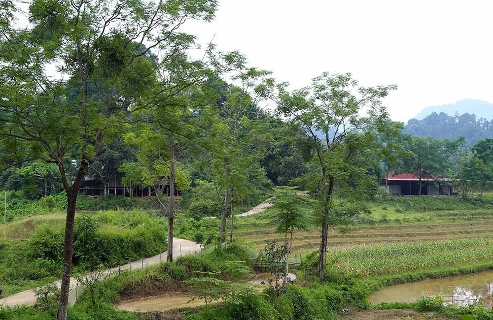 Tự khúc Na Rang