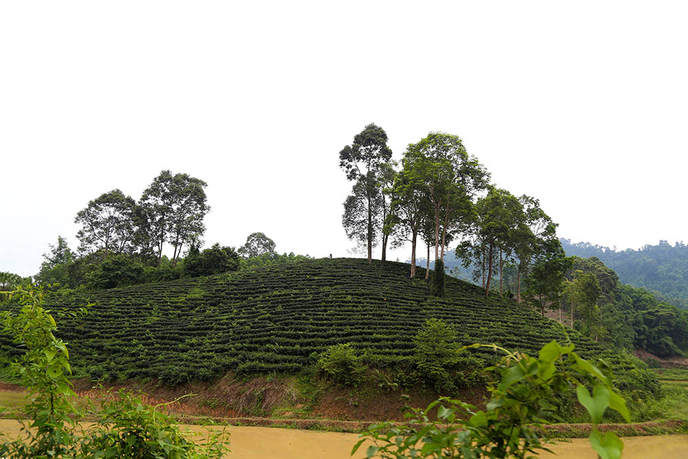 Tự khúc Na Rang