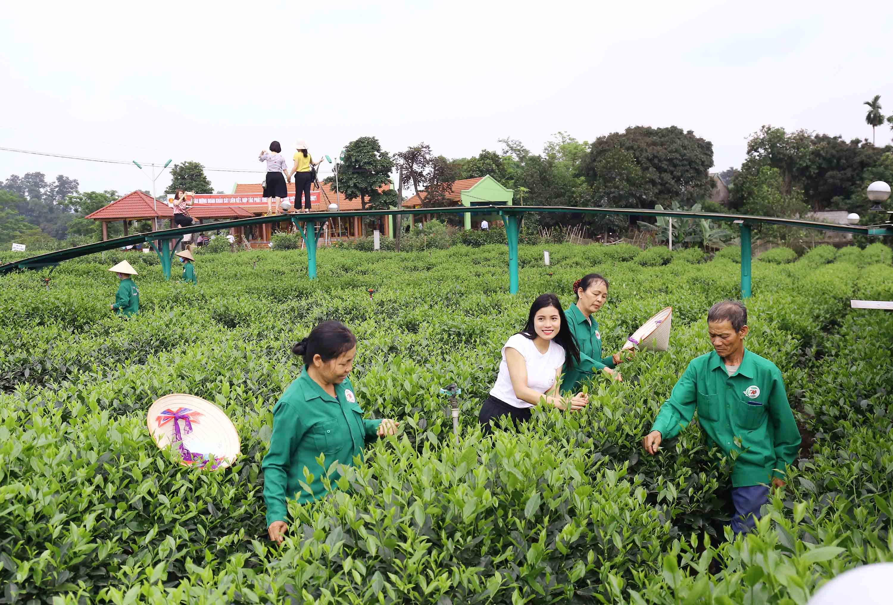 Bài 1: Vì sao du lịch thành phố Thái Nguyên chưa 