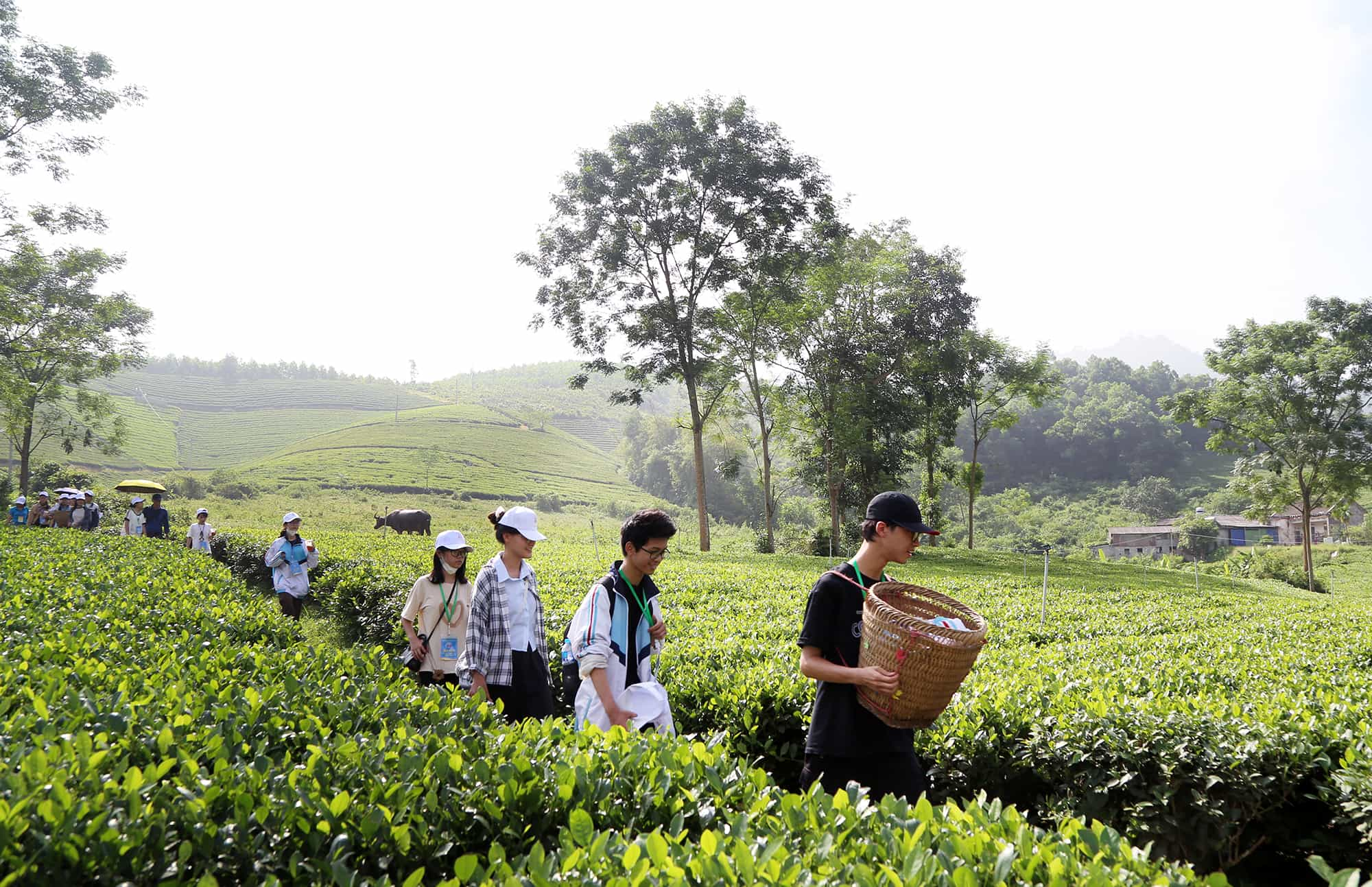 Bồi đắp tình yêu quê hương từ trải nghiệm thực tế