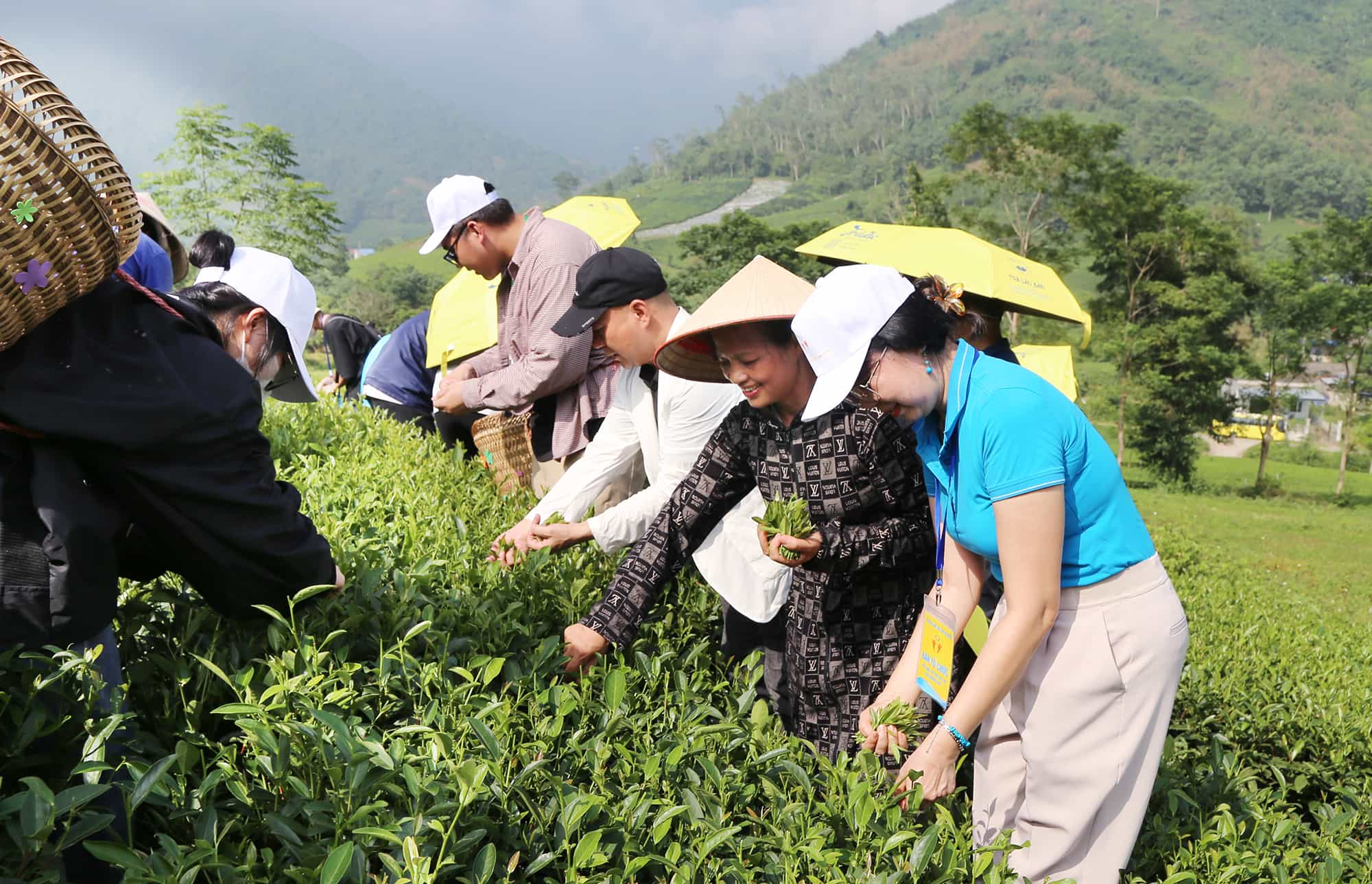 Bồi đắp tình yêu quê hương từ trải nghiệm thực tế