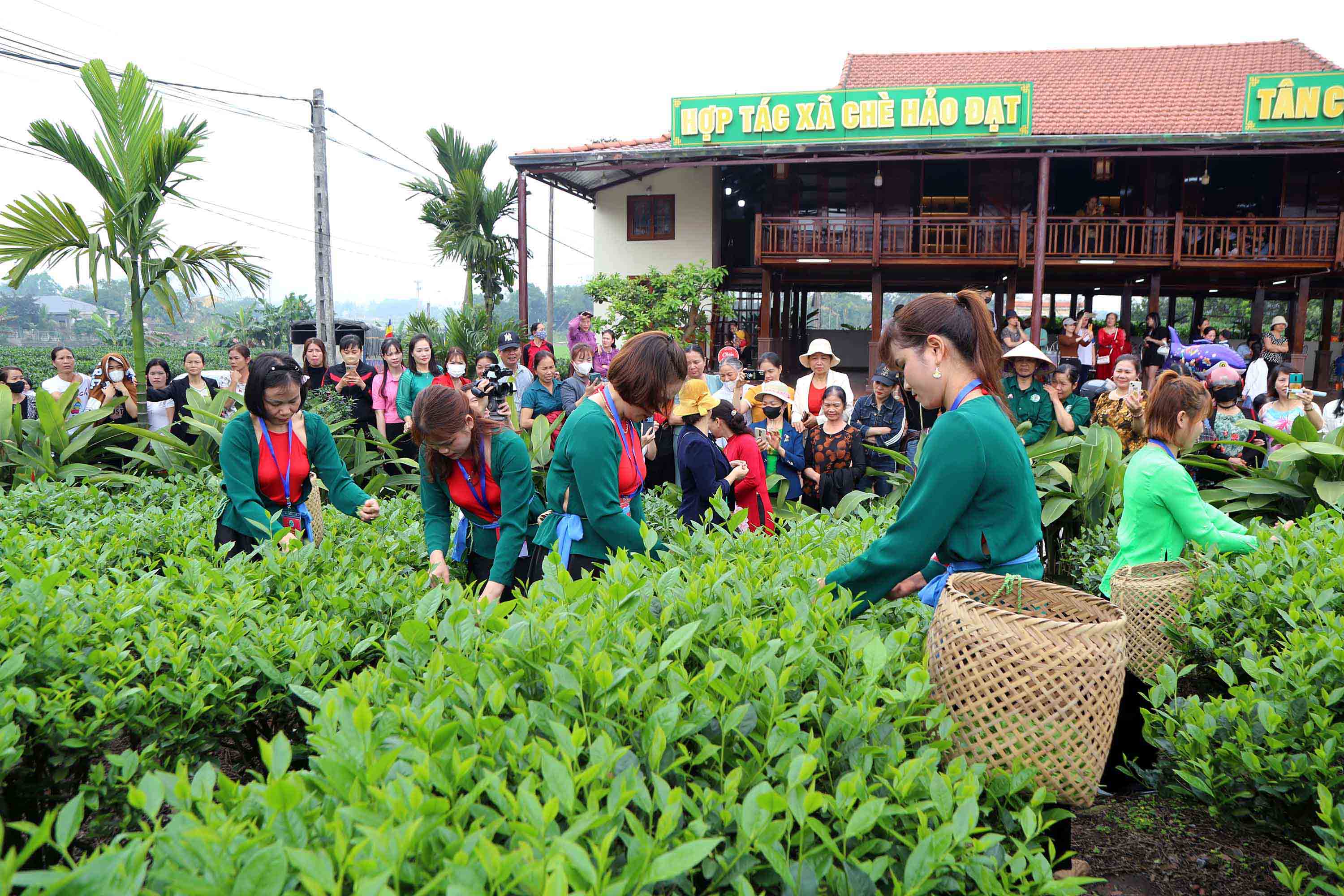 Phát triển du lịch tại thành phố Thái Nguyên: Bài 3 -Bản sắc văn hóa và hướng đi bền vững cho tương lai