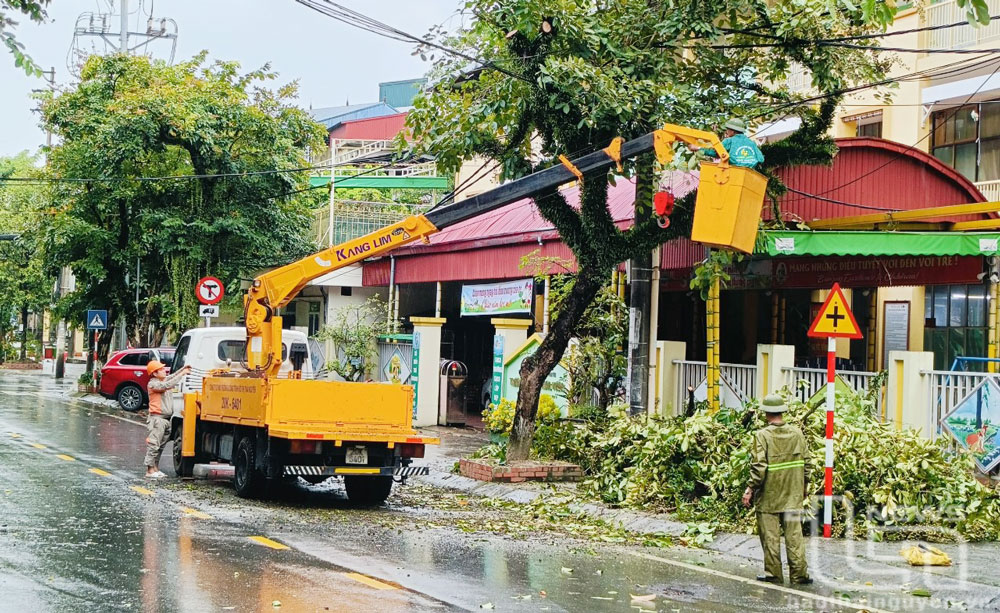 TP. Thái Nguyên chặt tỉa cây xanh tránh gãy đổ trong mưa bão