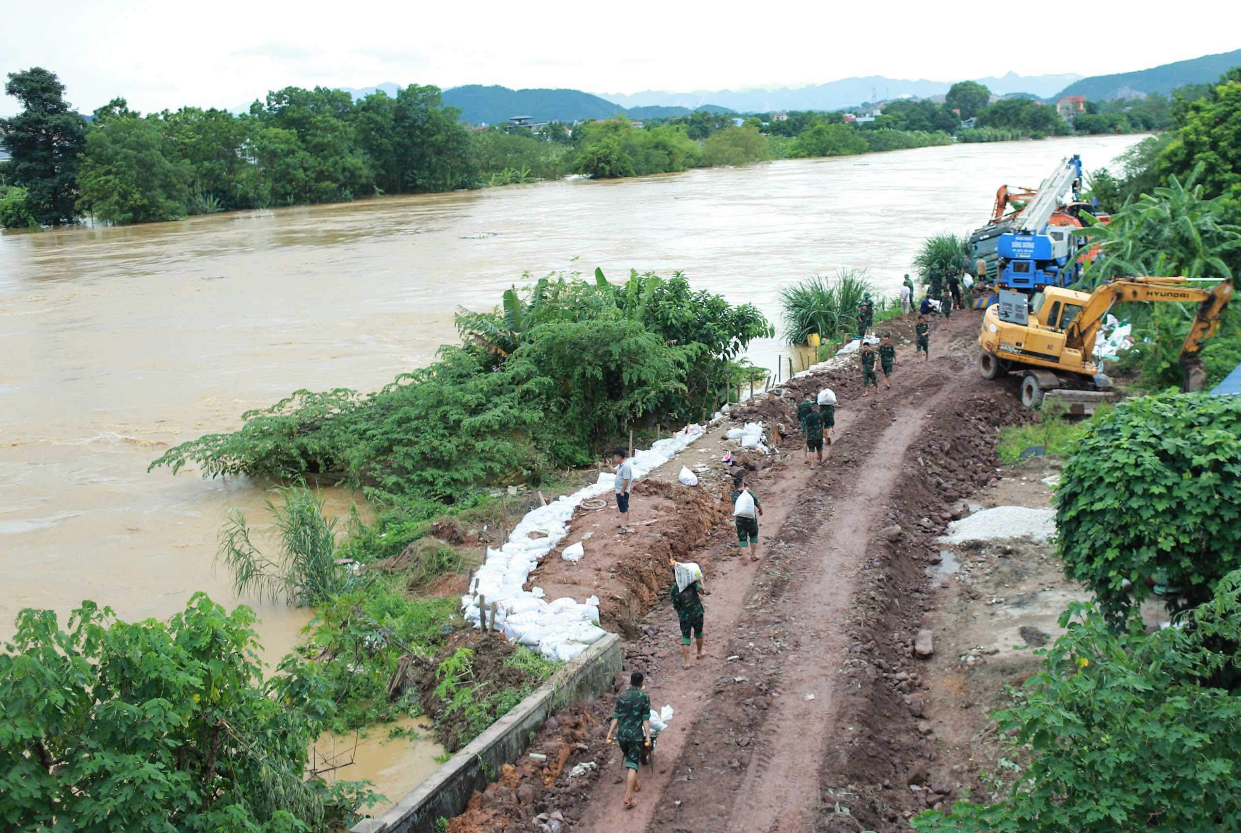 Bộ đội và Nhân dân địa phương tích cực gia cố đê Sông Cầu, đoạn dưới gầm cầu Bến Tượng