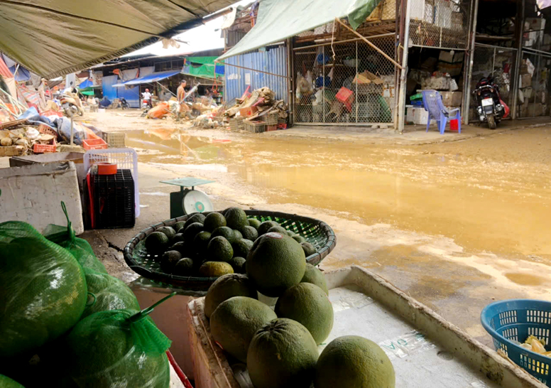 Nay chỉ có một vài quầy đã kinh doanh