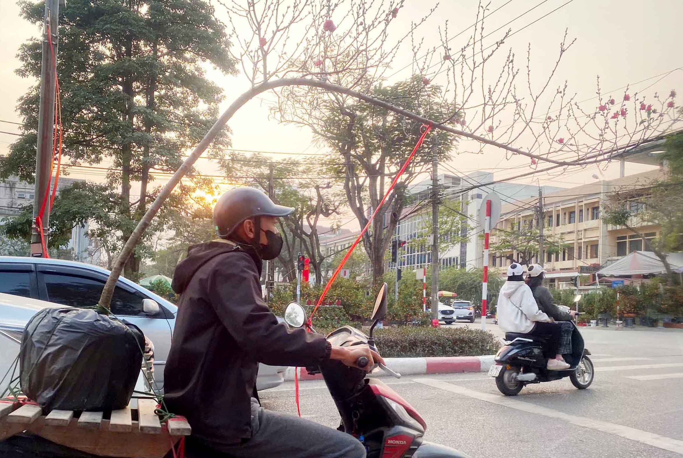Tết đang ở rất gần…
