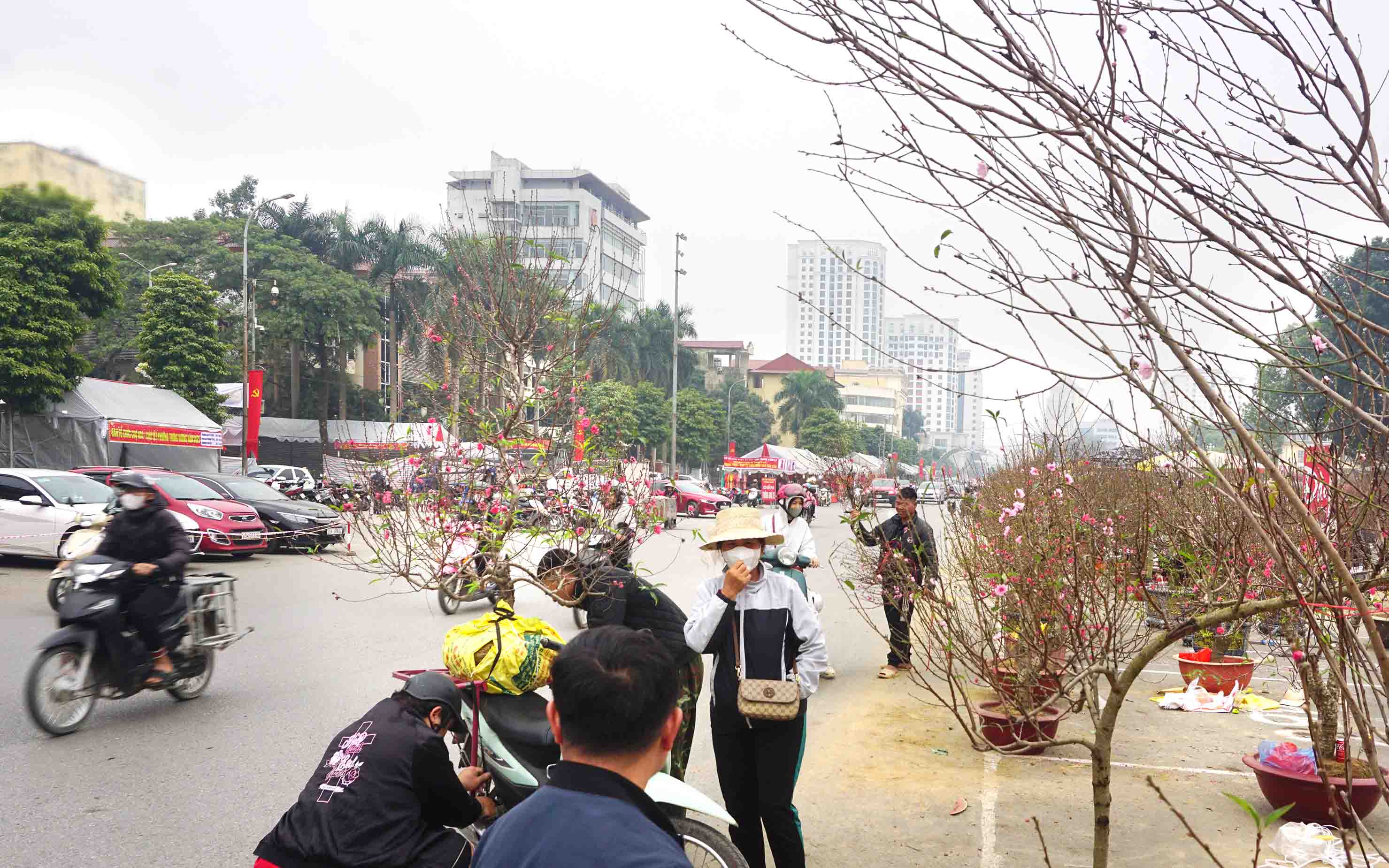 Tết đang ở rất gần…