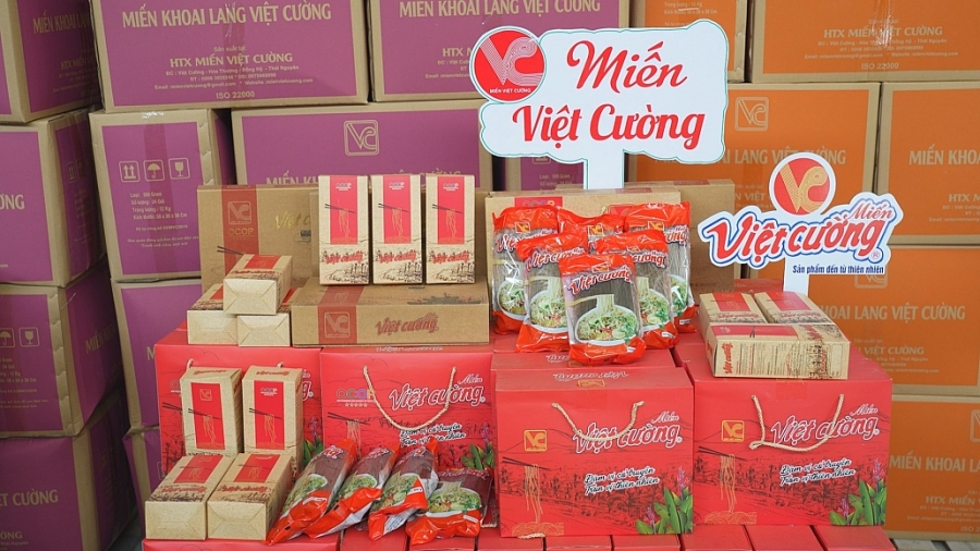 Sản phẩm miến Việt Cường được đóng gói trông bắt mắt, là thứ quà quê rất ý nghĩa trong dịp Tết.