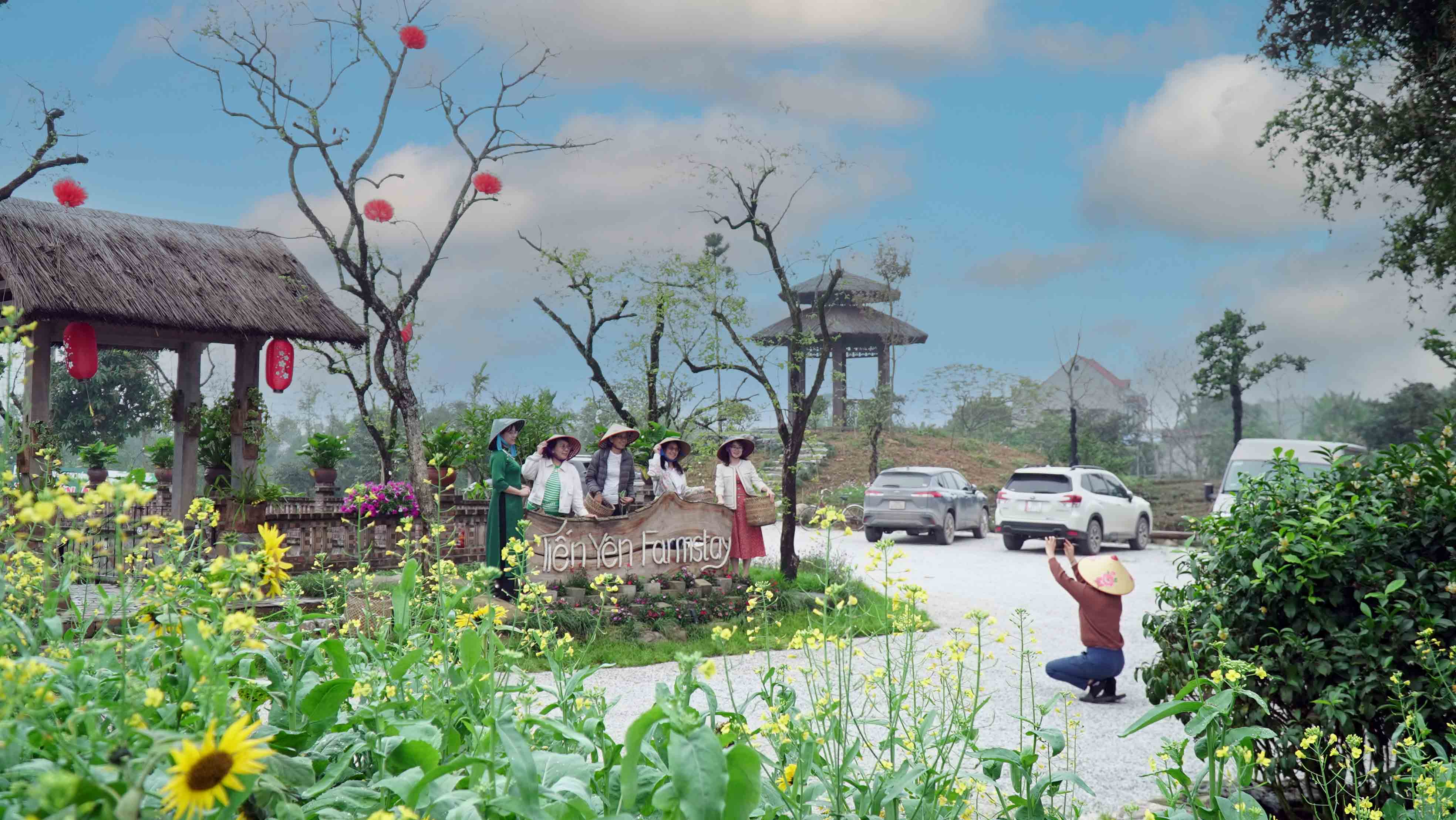 Tiến Yên Farmstay - Điểm hẹn của người yêu trà