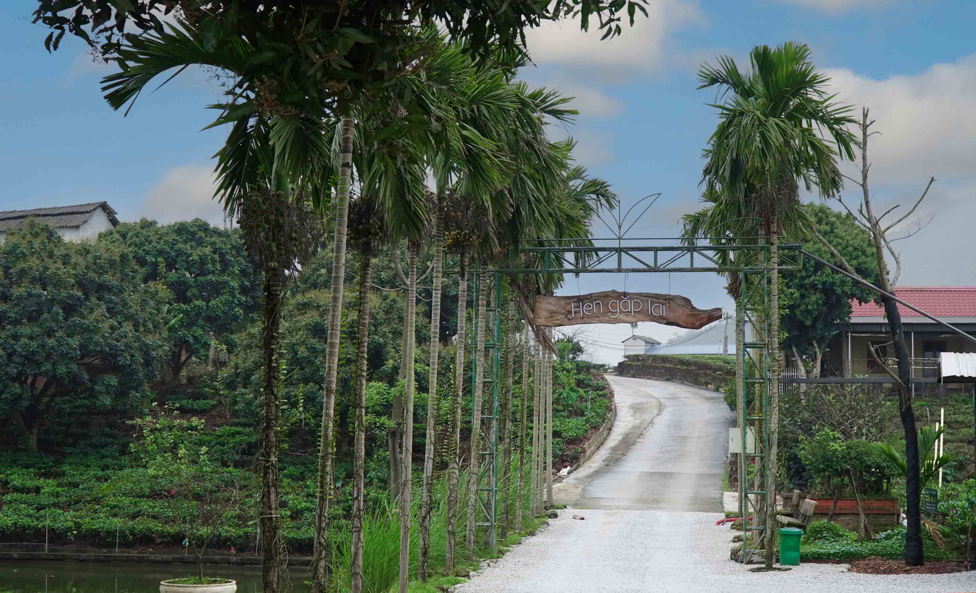 Tiến Yên Farmstay - Điểm hẹn của người yêu trà