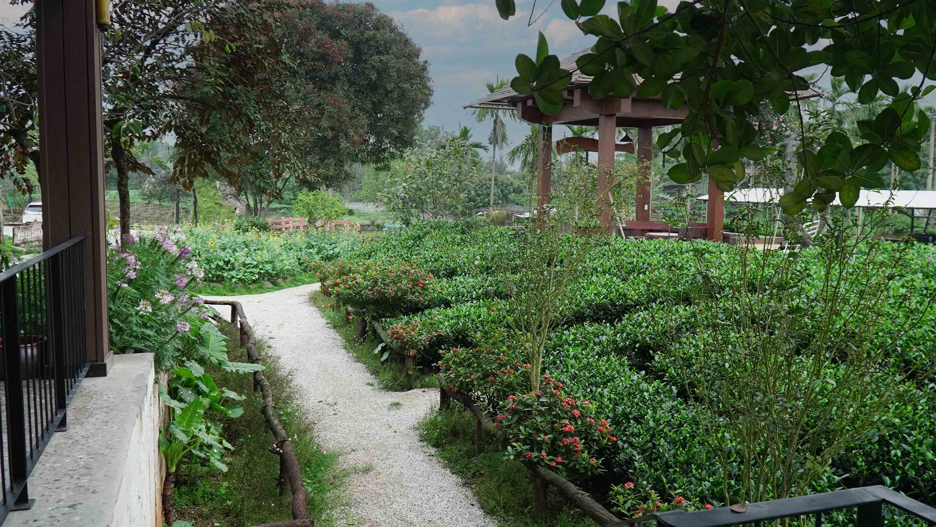Tiến Yên Farmstay - Điểm hẹn của người yêu trà