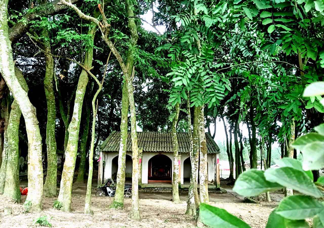Quần thể di tích đình Cúc Lùng nằm trong khu rừng cây cổ kính thâm nghiêm