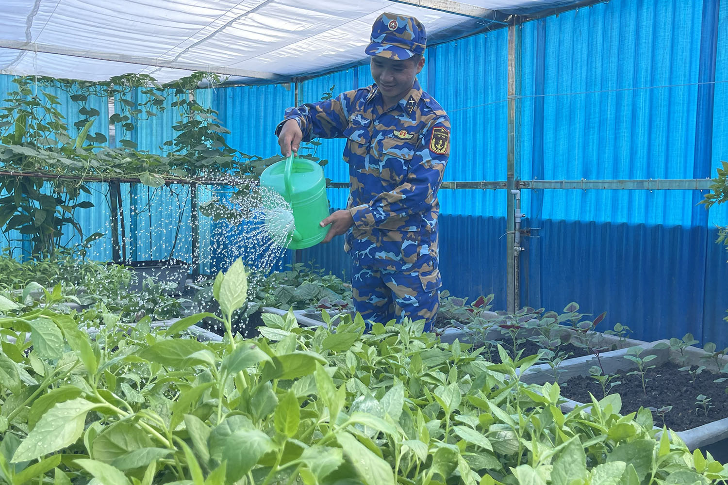 Cán bộ, chiến sĩ trên huyện đảo Trường Sa thường xuyên tăng gia, cải thiện đời sống