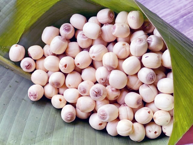Hạt sen