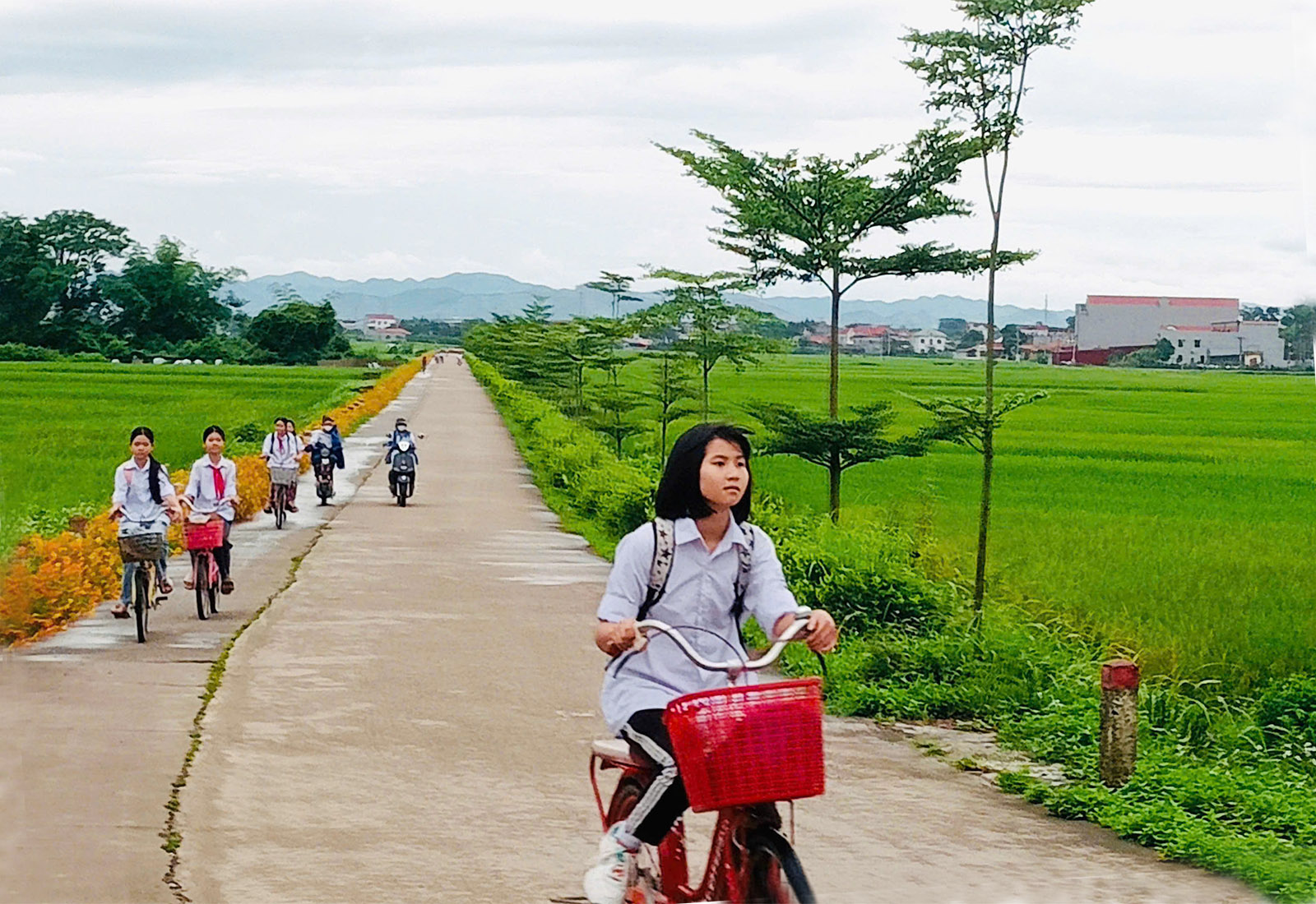 Đường làng tôi giờ đã phong quang, sạch đẹp
