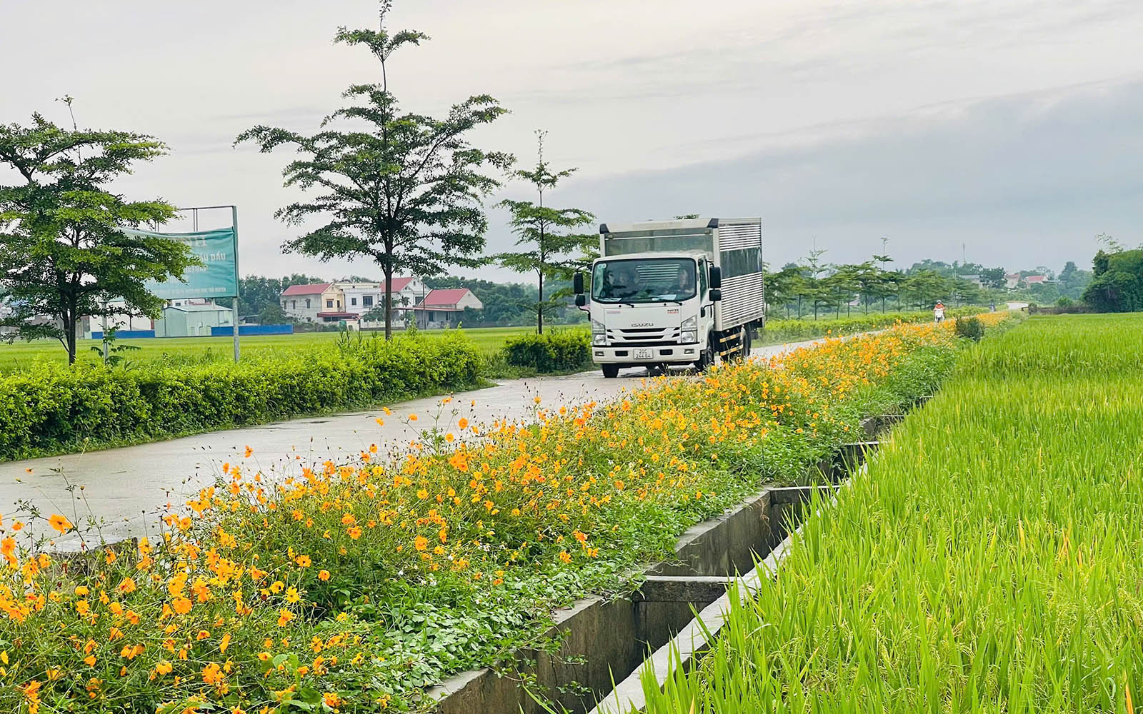 Đường làng giờ xe tải đã đi lại, tránh nhau thuận tiện