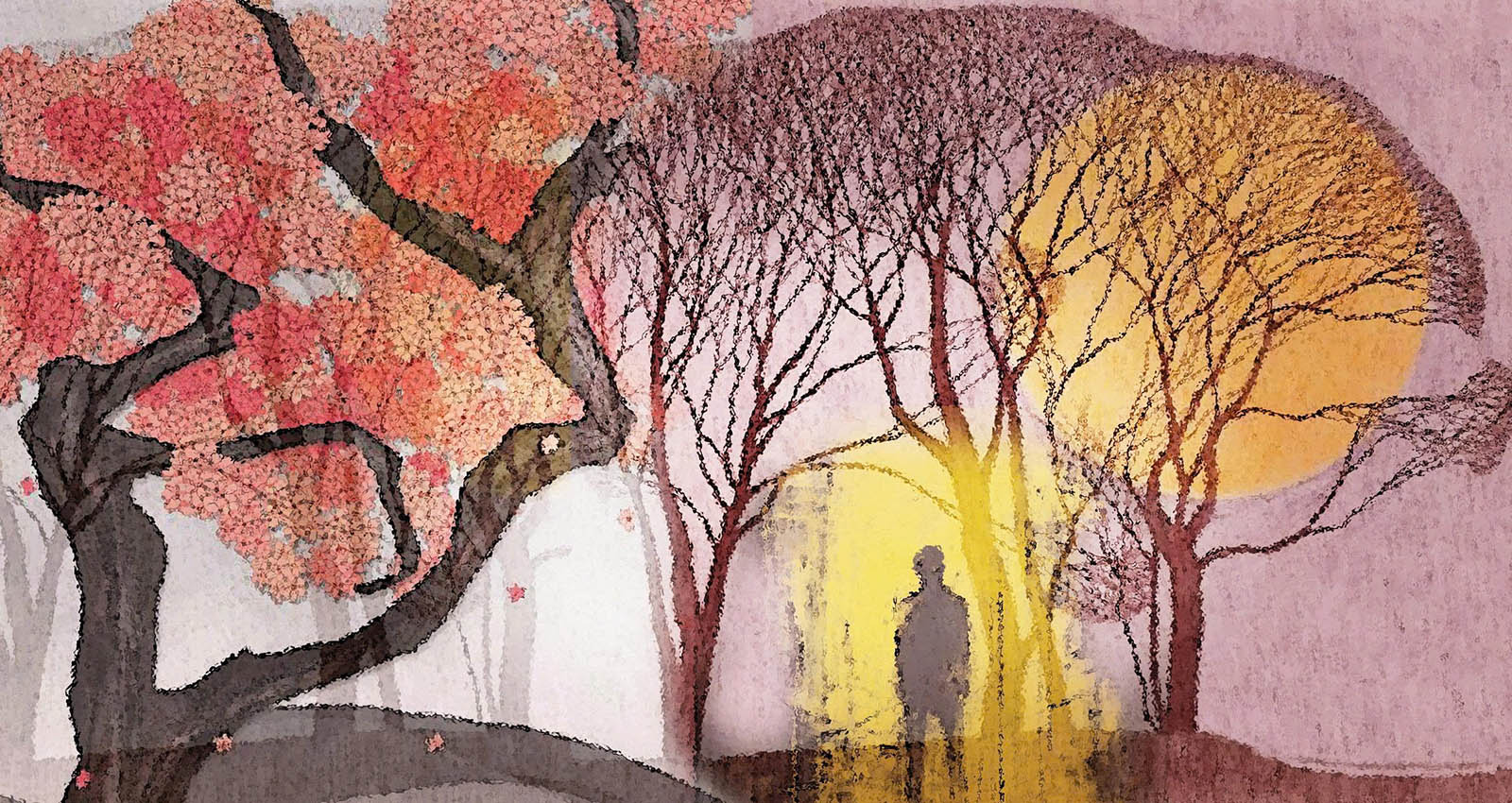 Minh họa: Đào Tuấn