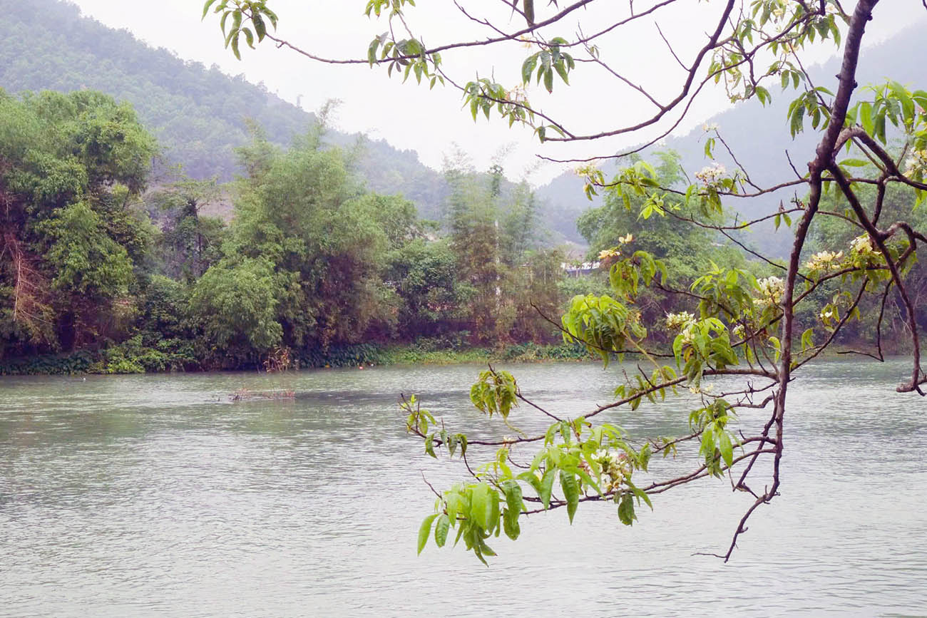 Một đoạn sông Mão (nay là sông Công)