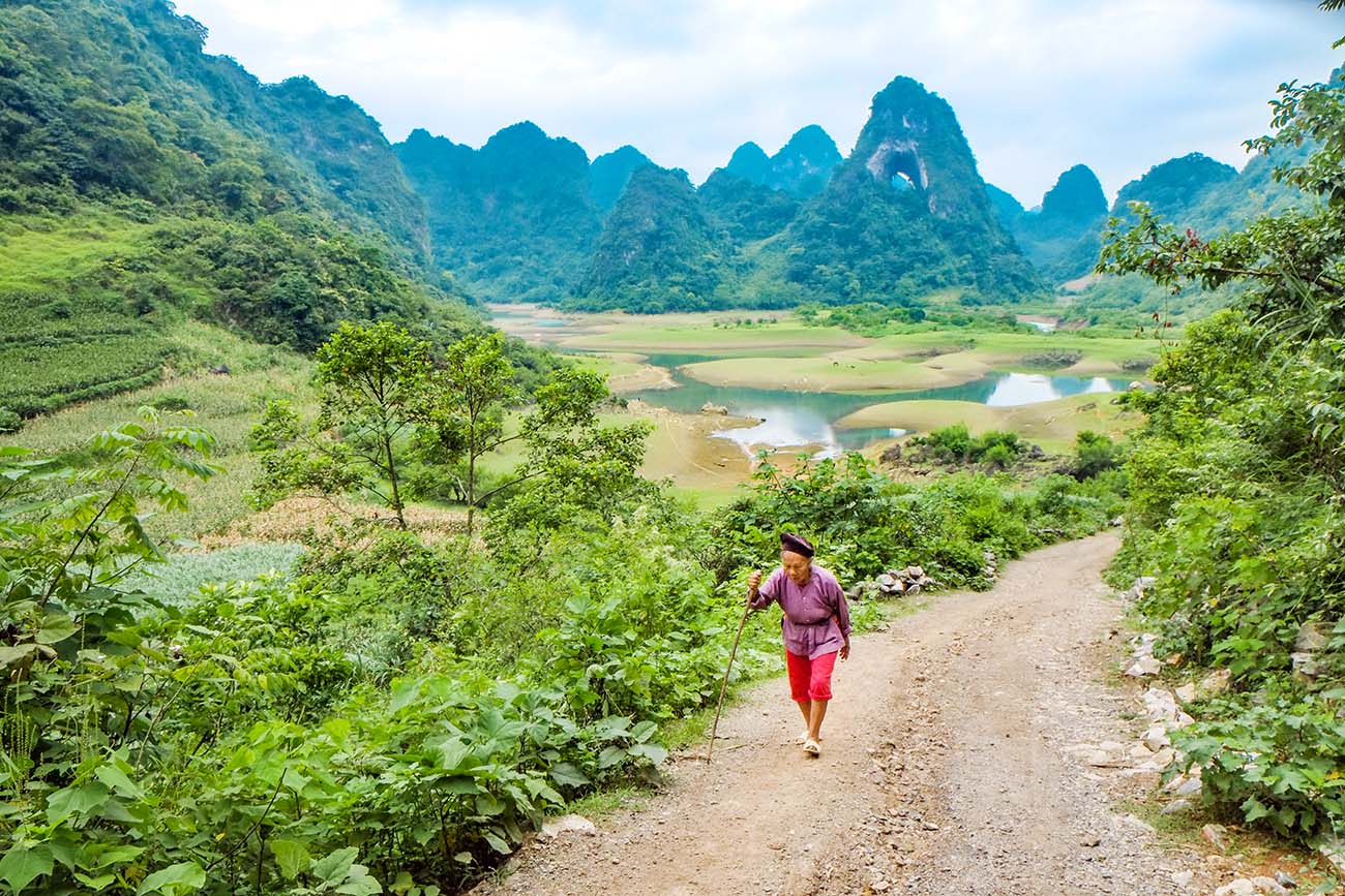 Về bản