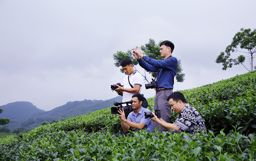 Các nhà báo tác nghiệp tại vùng nguyên liệu chè Vietgap tại xã Sơn Phú