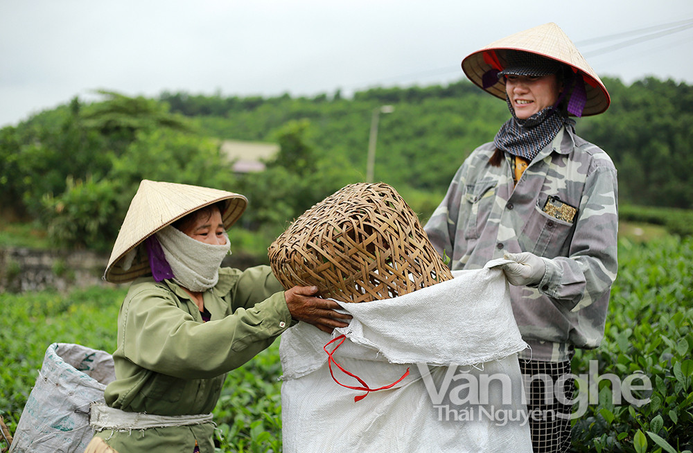 Trong 2 năm trở lại đây, đời sống của đồng bào DTTS ở nhiều địa phương trên địa bàn tỉnh đã được nâng lên rõ rệt